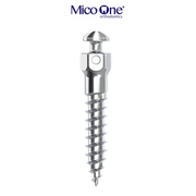 Mico One Inter radicular screws