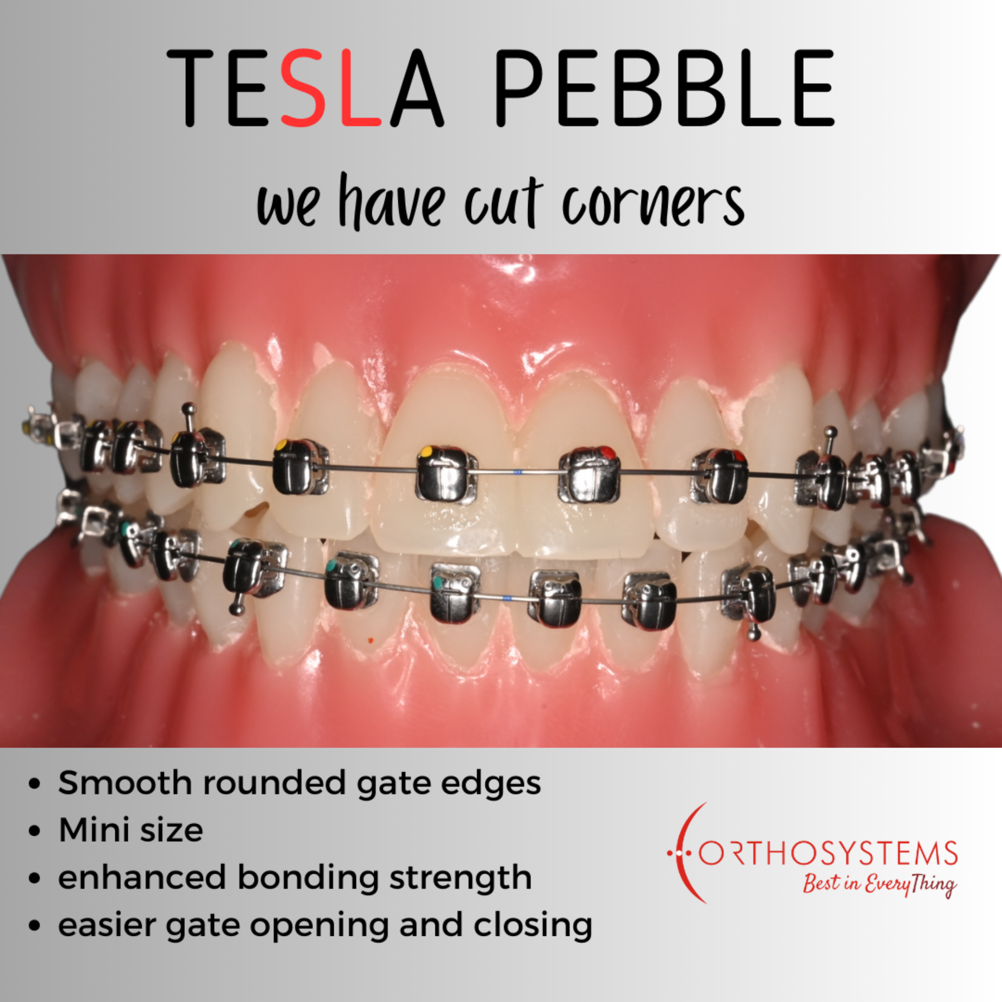 teSLa Pebble Passive SL Bracket (7-7 Kit with One patient wire set