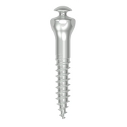 BioKey Buccal shelf screw