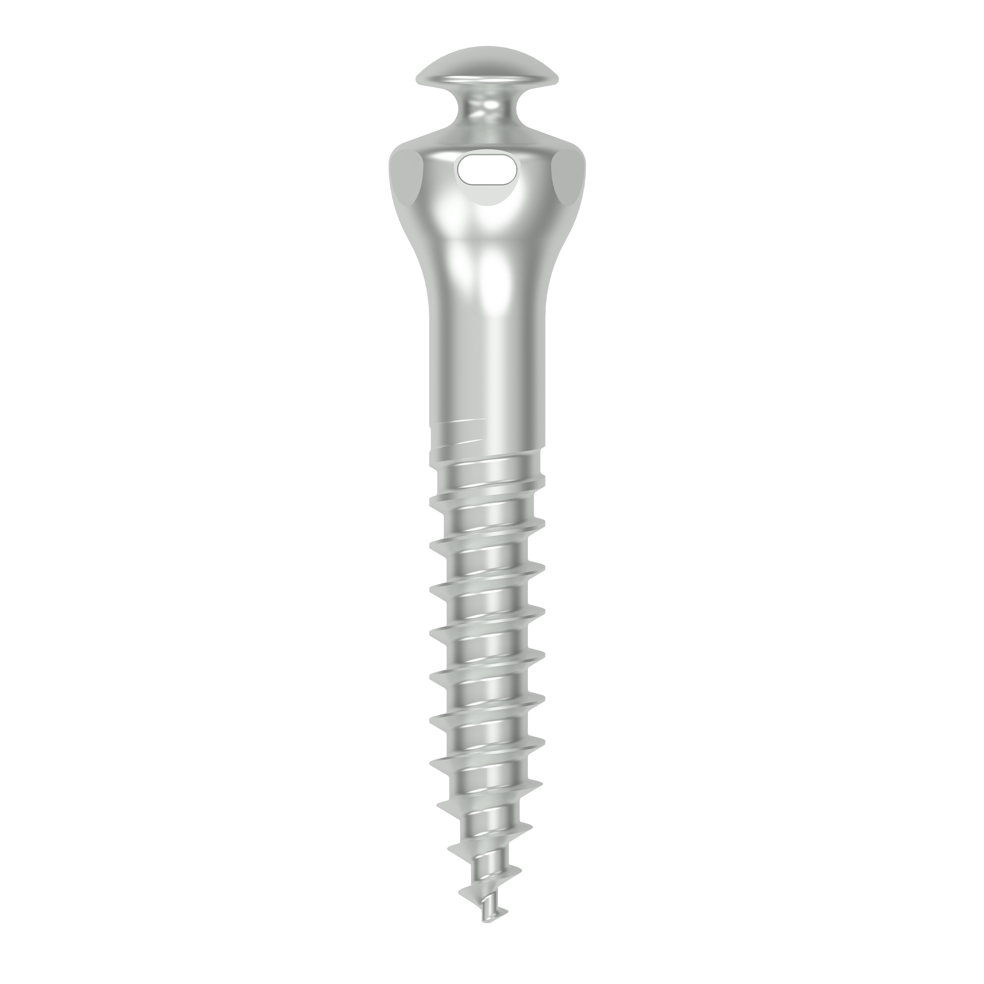 BioKey Inter radicular screw