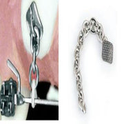 Forestadent Eruption chain