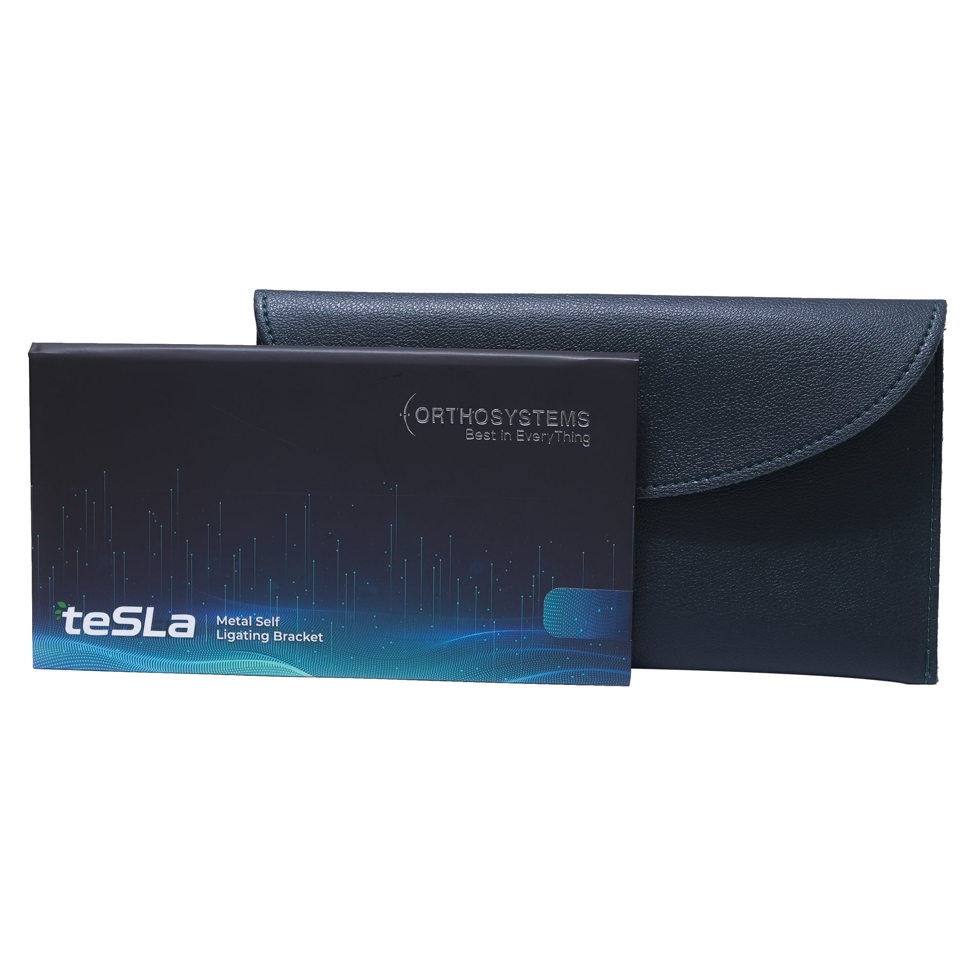 Tesla PSL Metal Bracket System