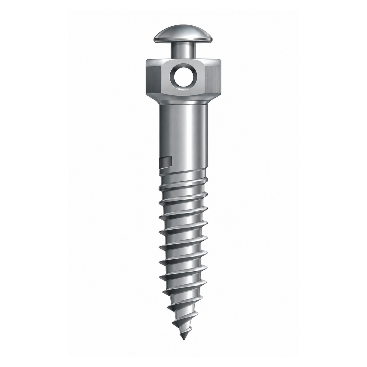 Mico One Inter radicular screws
